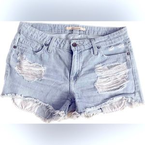Big Star Vintage Jean Shorts NWOT